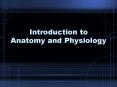 Introduction to Anatomy and Physiology PowerPoint PPT Presentation