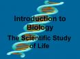 Introduction to Biology PowerPoint PPT Presentation