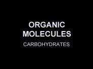 ORGANIC MOLECULES