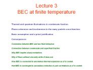 Lecture 3 BEC at finite temperature