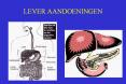 LEVER AANDOENINGEN PowerPoint PPT Presentation