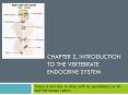 CHAPTER 2, INTRODUCTION TO THE VERTEBRATE ENDOCRINE SYSTEM PowerPoint PPT Presentation