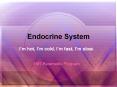Endocrine System PowerPoint PPT Presentation