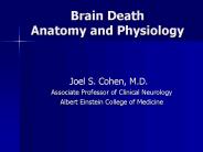 Brain Death Anatomy and Physiology