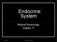 Endocrine System PowerPoint PPT Presentation