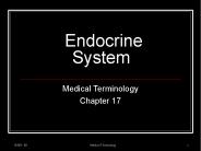 Endocrine System