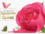 Same Day Flower Delivery Online