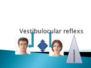 vestibulocular reflexs