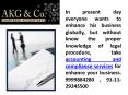 AKG and Co business Plan consultant and Accounting Service PowerPoint PPT Presentation