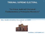 TRIBUNAL SUPREMO ELECTORAL