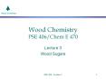 Wood Chemistry PSE 406/Chem E 470 PowerPoint PPT Presentation