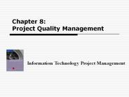 Information Technology Project Management