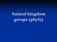 Animal kingdom groups (phyla) PowerPoint PPT Presentation