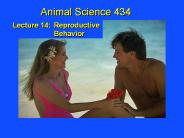 Lecture 14:Reproductive  Behavior