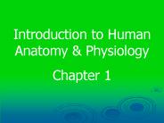 Introduction to Human Anatomy