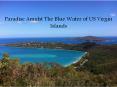 Paradise Amidst The Blue Water of US Virgin Islands PowerPoint PPT Presentation