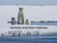 Animals and their Habitats PowerPoint PPT Presentation