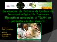 Diapositiva 1 PowerPoint PPT Presentation