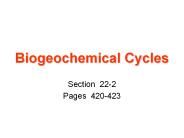 Biogeochemical Cycles