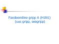 Pandeemiline gripp A (H1N1) (uus gripp, seagripp) PowerPoint PPT Presentation