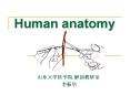 Human anatomy PowerPoint PPT Presentation