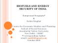 BIOFUELS AND ENERGY SECURITY OF INDIA PowerPoint PPT Presentation