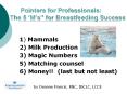 Pointers for Professionals: The 5  PowerPoint PPT Presentation
