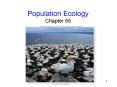 Population Ecology Chapter 55 PowerPoint PPT Presentation