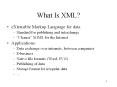 What Is XML? PowerPoint PPT Presentation