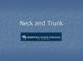 Neck and Trunk PowerPoint PPT Presentation