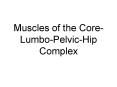 Muscles of the Core-Lumbo-Pelvic-Hip Complex PowerPoint PPT Presentation