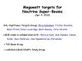 Megawatt targets for Neutrino Super-Beams (Apr. 4, 2013) PowerPoint PPT Presentation