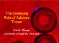 The Emerging Role of Adipose Tissue PowerPoint PPT Presentation