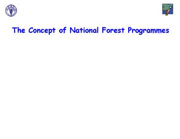 national forest programmes
