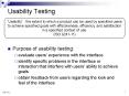 Usability Testing PowerPoint PPT Presentation
