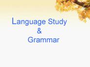 Language Study