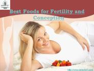 Best Foods for Fertility and Conception