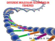 Molecular Techniques Used in Fisheries