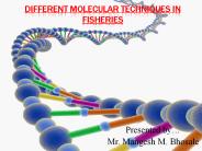 Different Molecular Techniques Used in Fisheries