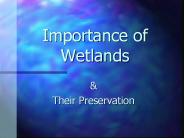 Importance of Wetlands