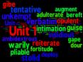 Unit 1 vocab PowerPoint PPT Presentation