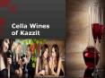 Cella Wines of Kazzit PowerPoint PPT Presentation