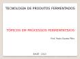 TECNOLOGIA DE PRODUTOS FERMENTADOS PowerPoint PPT Presentation