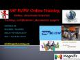 sap bi/bw online training in usa PowerPoint PPT Presentation