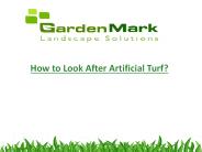 Lawn Maintenance with Synthetic Turf and Artificial Grass