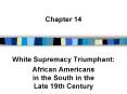 White Supremacy Triumphant: PowerPoint PPT Presentation