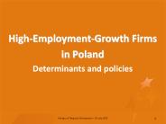 High-Employment-Growth Firms