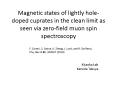 Magnetic states of lightly hole-doped cuprates in the clean limit as seen via zero-field muon spin spectroscopy PowerPoint PPT Presentation