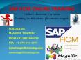 SAP HCM ONLINE TRAINING IN INDIA PowerPoint PPT Presentation