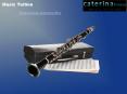 Clarinet Lessons Sutherland Shire PowerPoint PPT Presentation